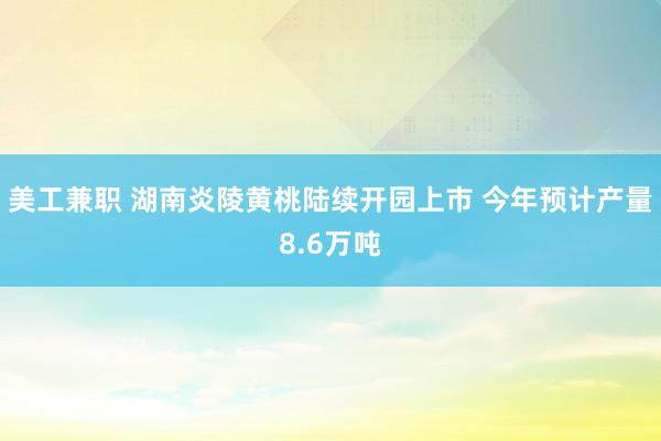 美工兼职 湖南炎陵黄桃陆续开园上市 今年预计产量8.6万吨