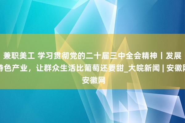 兼职美工 学习贯彻党的二十届三中全会精神丨发展特色产业，让群众生活比葡萄还要甜_大皖新闻 | 安徽网