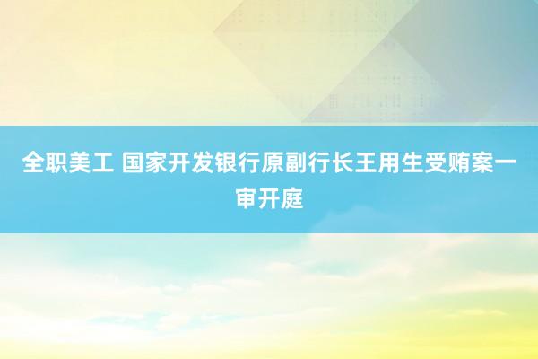 全职美工 国家开发银行原副行长王用生受贿案一审开庭